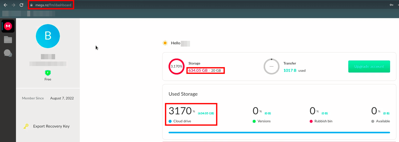 MEGA's unlimited cloud storage vulnerability