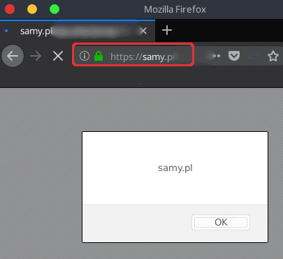 A JavaScript alert box reading "samy.pl" on the real site, proving document.domain execution via the XSS
