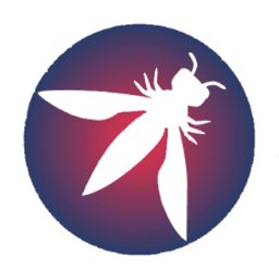 OWASP Kathmandu chapter logo